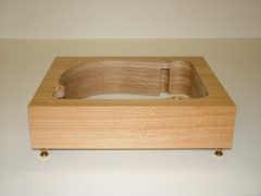 TD124 Rüster-Ulme-gestreift 09